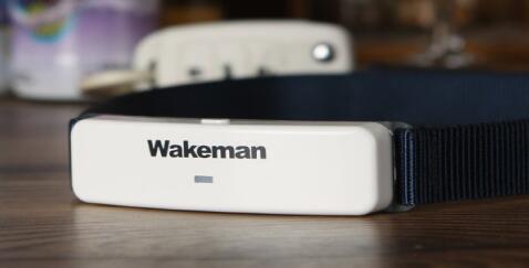 小型創意電子產品設計